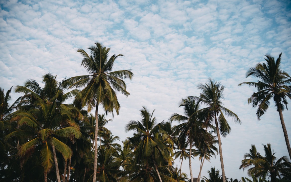 Top 5 Highlights in Sri Lanka – Sonnenaufgang über den Wolken