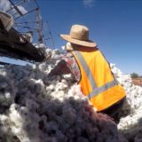 Farmarbeit im Outback Australiens – Der Alltag auf einer Ranch