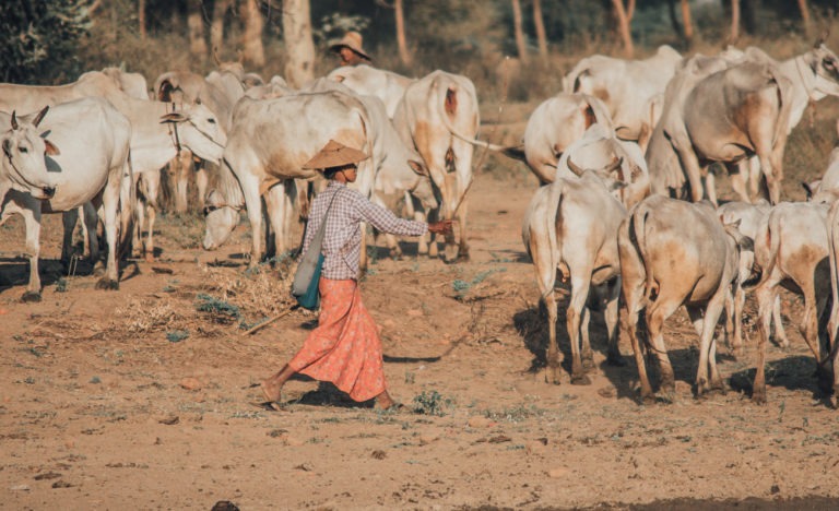 Myanmar Backpacking