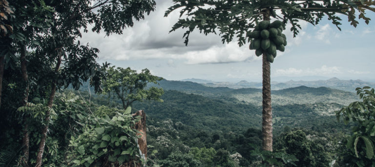 Labuan Bajo in Flores