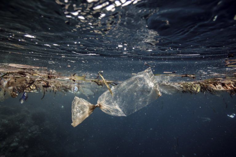 Plastikmüll im Meer