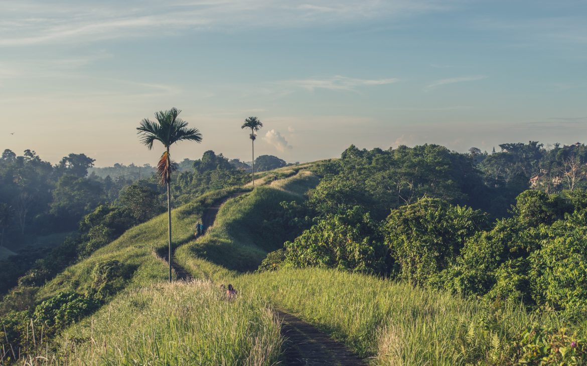 15 Ubud Tipps – Willkommen in Balis Paradies