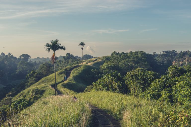 Ubud Reisetipps