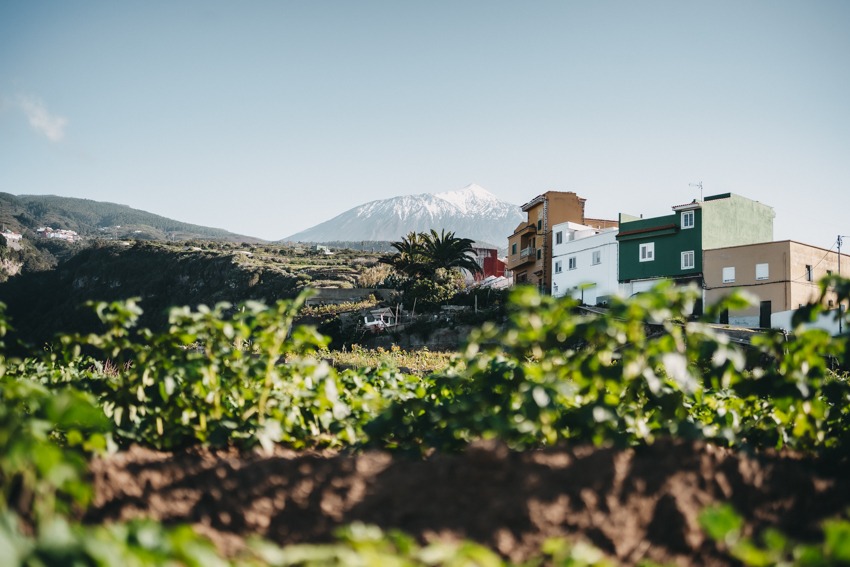 Blick auf den Teide