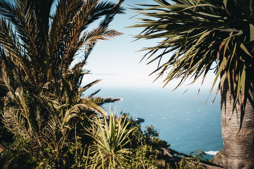 Tenerife View