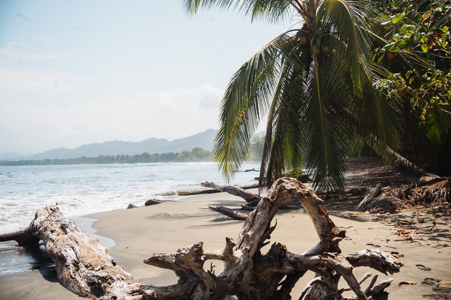 a white-sanded beach in the Cahuita National Park in Costa Rica