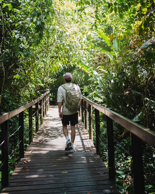 a man walking through the Cahuita National Park in Costa Rica