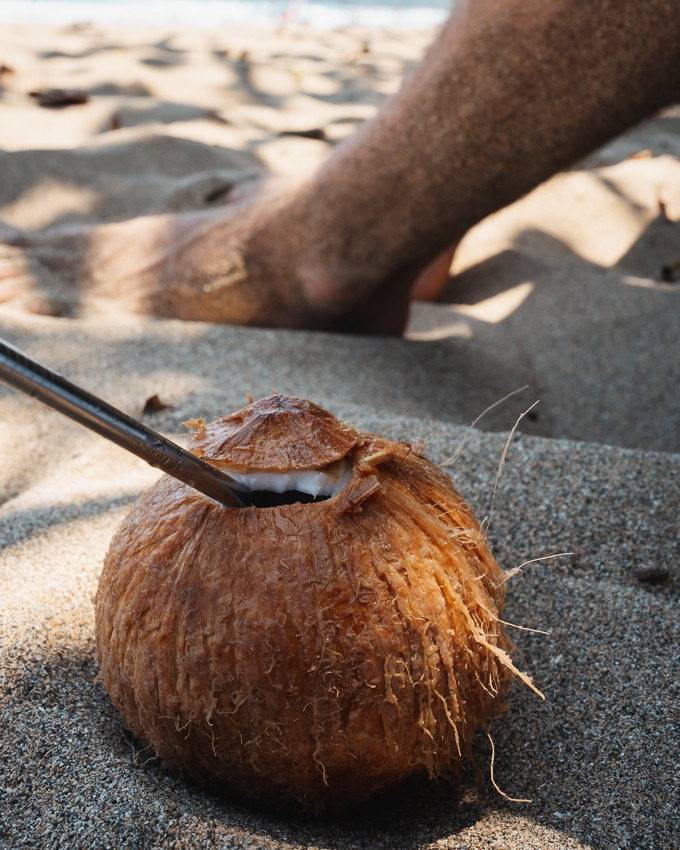 a coconut at the beach