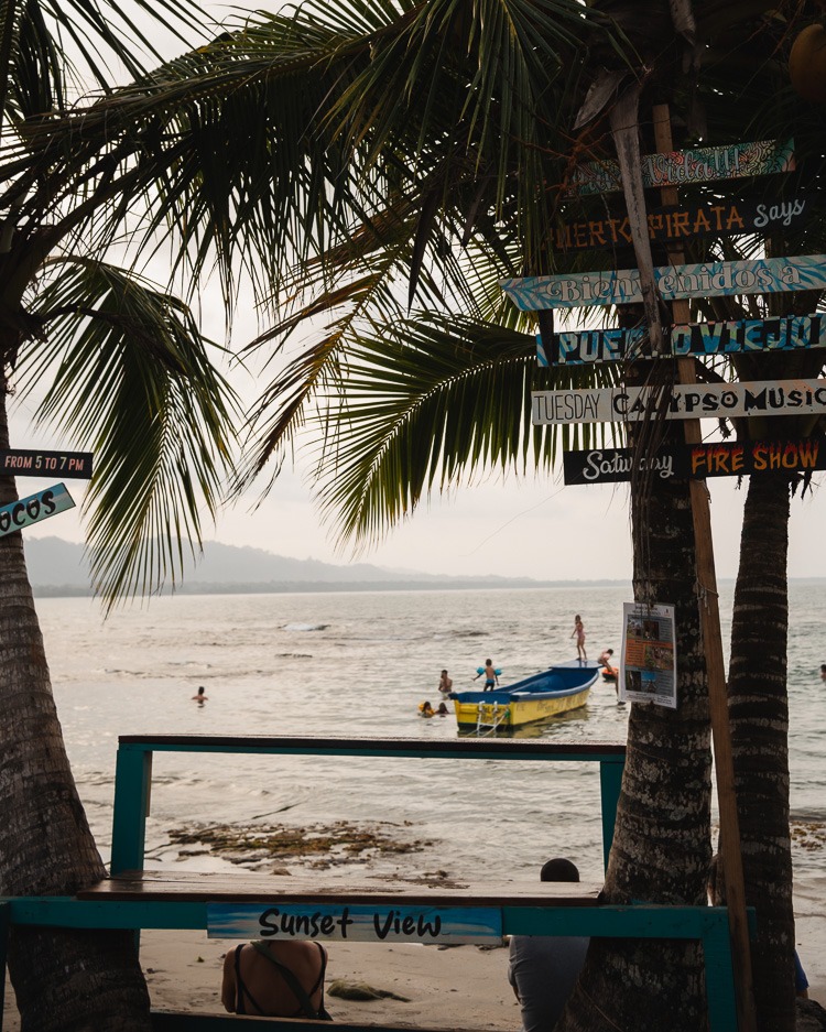 Strand mit Palmen