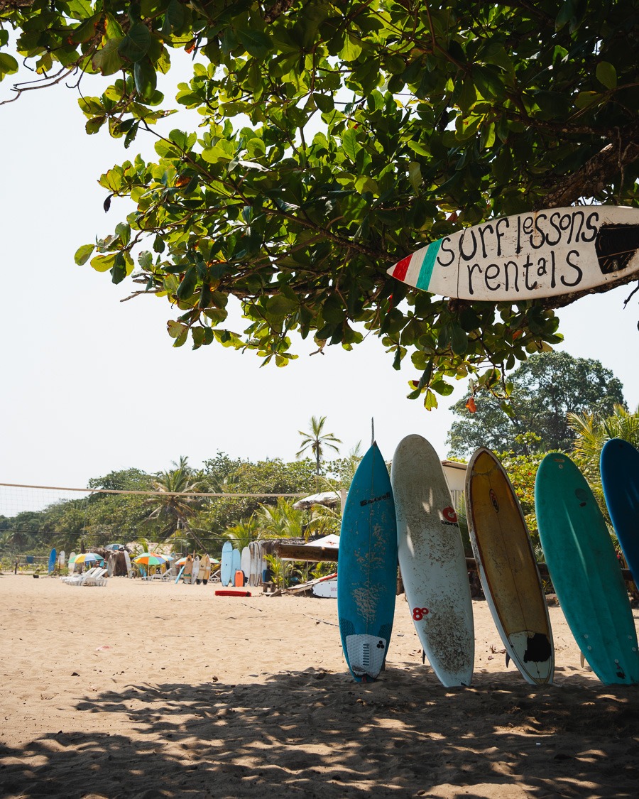 Surfboards at the beach