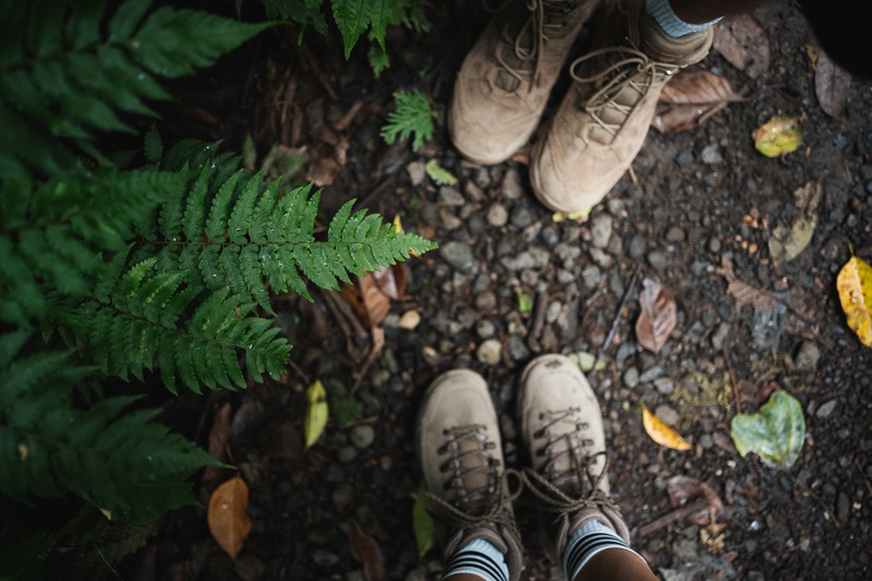 hiking shoes