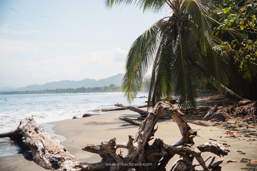 Strand in Costa Rica, Cahuita Nationalpark