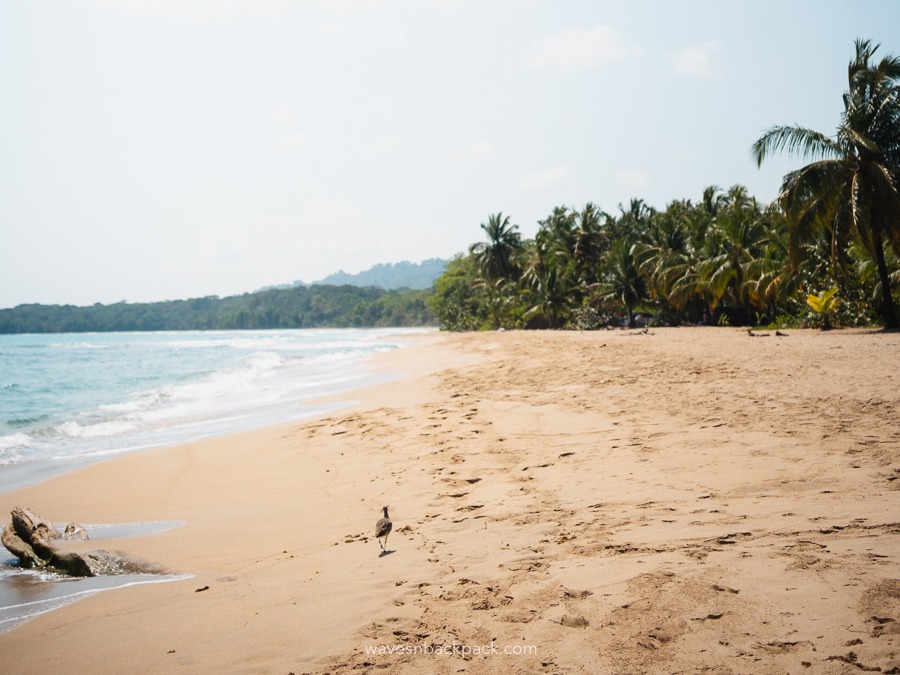 Puerto Viejo in Costa Rica