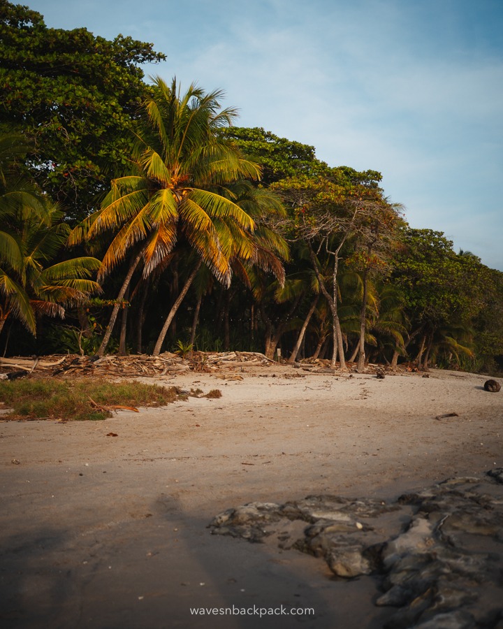 Leerer Strand in Costa Rica