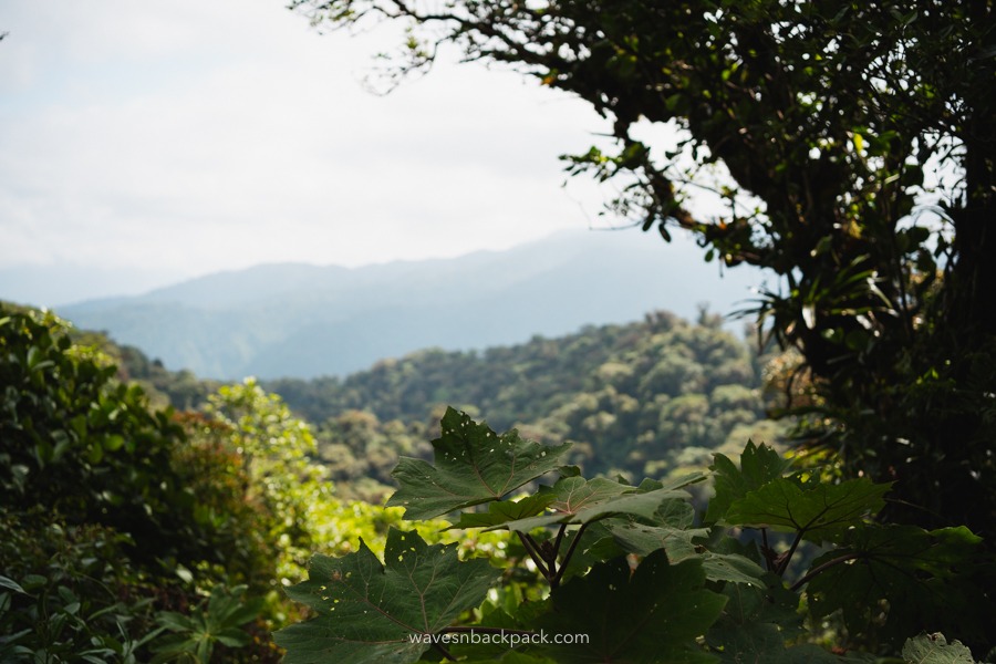 Grüne Landschaft in Costa Rica