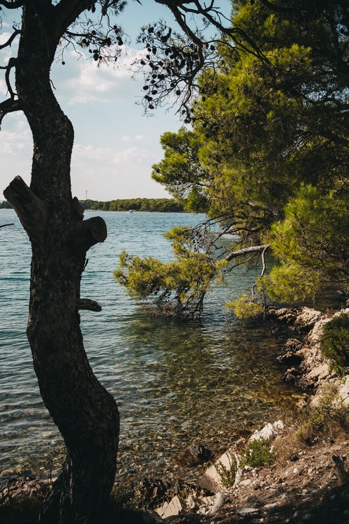 View of the St. Ante sea channel in Šibenik