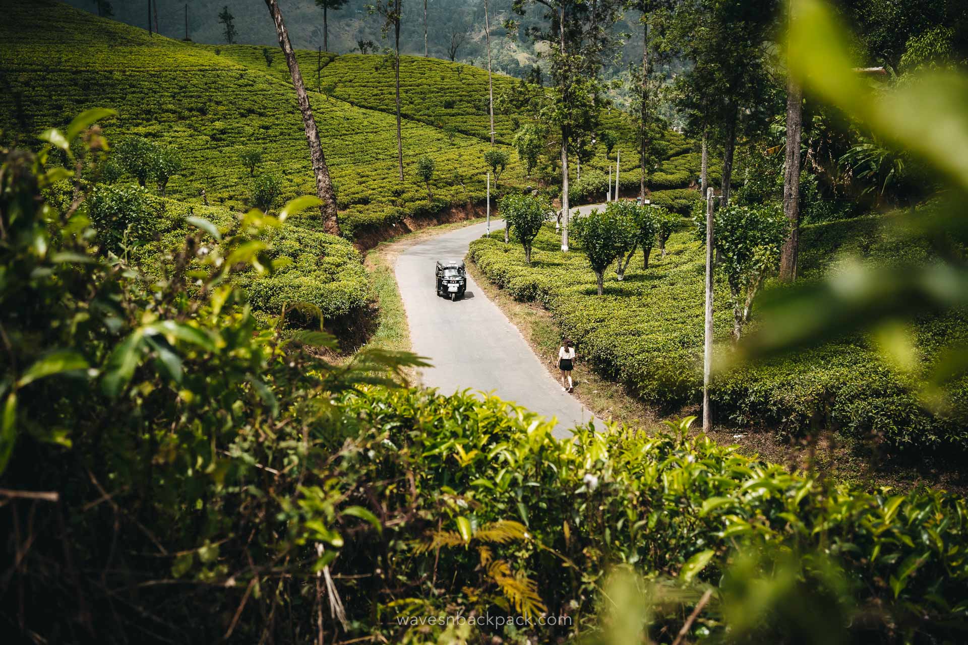 green Landscape of Sri Lanka