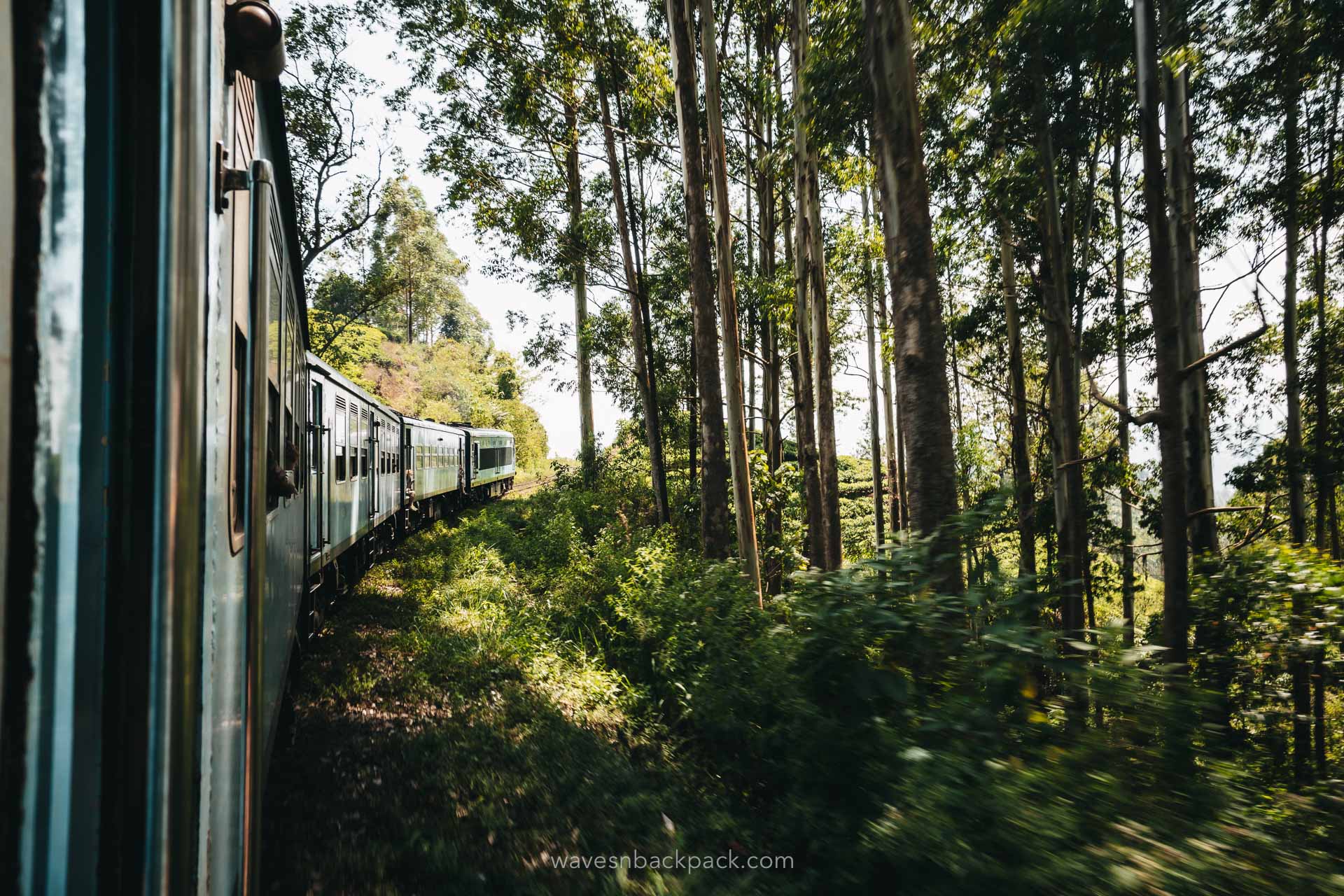 train ride in Sri Lanka