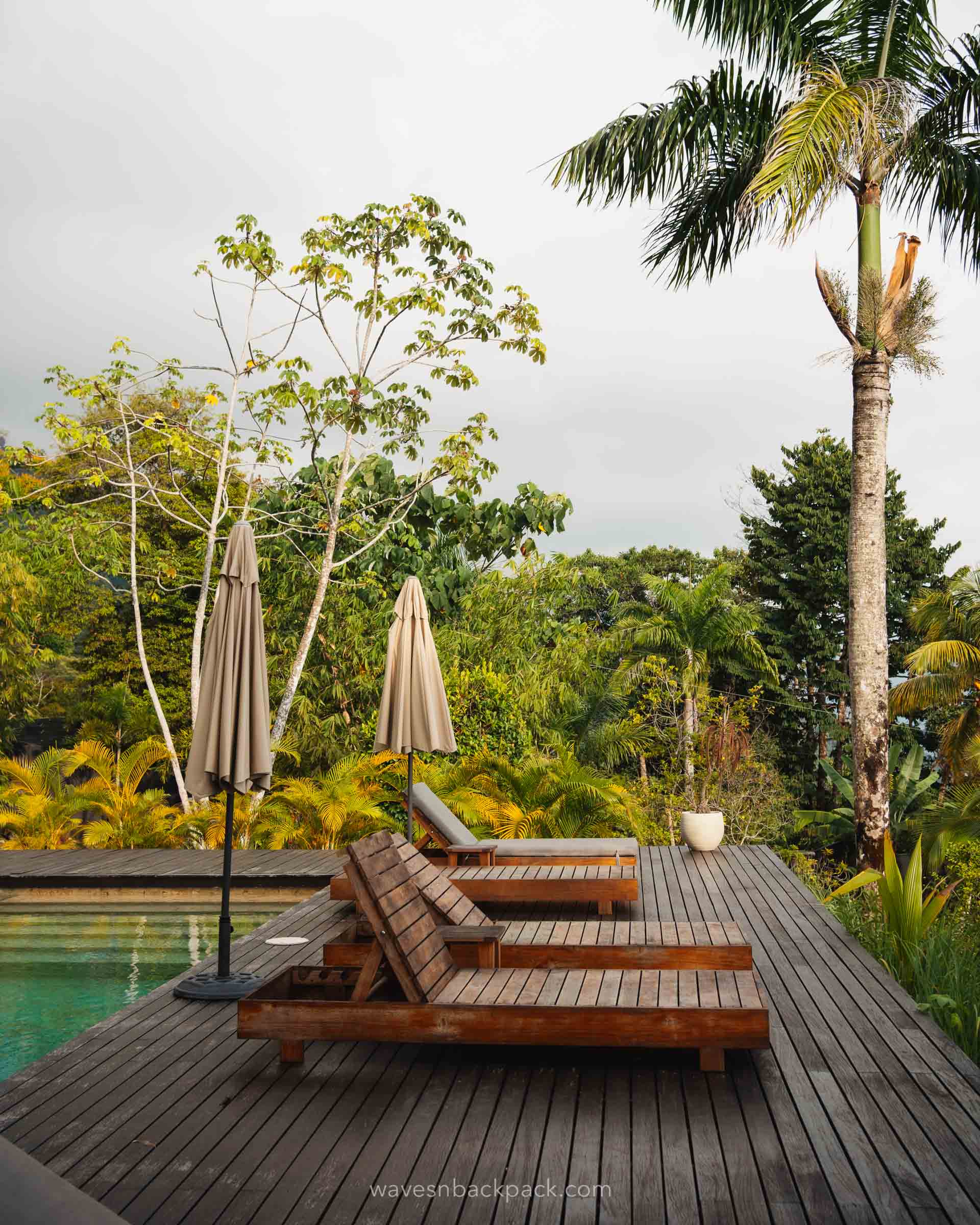 accommodation with pool in the jungle in Costa Rica