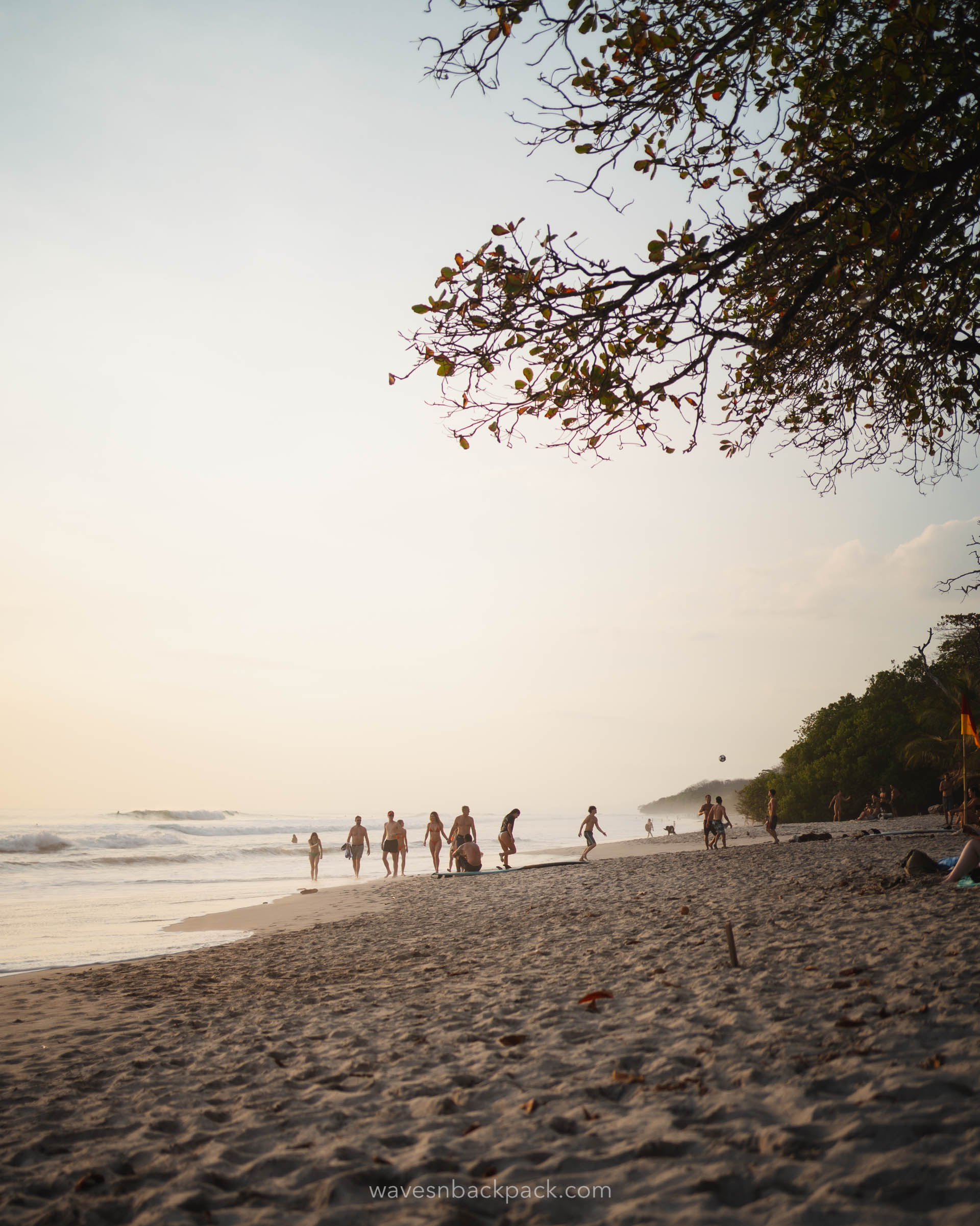 surf spot at the pacific coast in costa rica